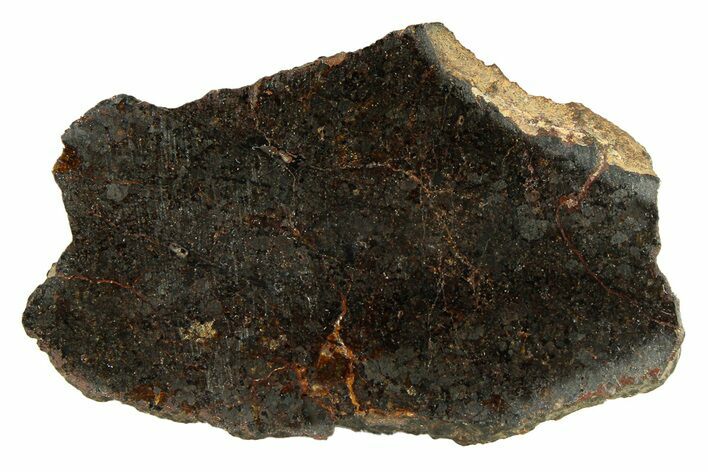 Polished Rafsa Angrite Meteorite Slice ( g) - Algeria #291757